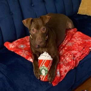 Meet your Posher, Zoe